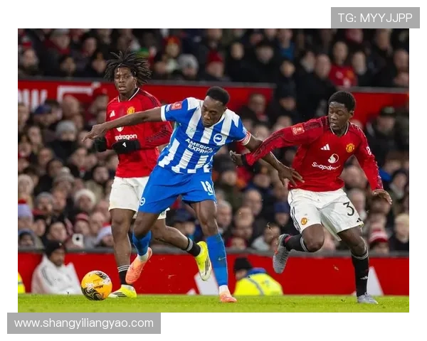 布莱顿主帅谈双杀曼联经验称实力与投入成正比但球队不畏强敌